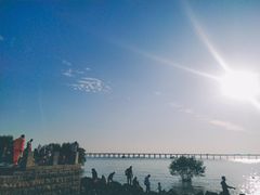 -宝安西湾红树林湿地公园