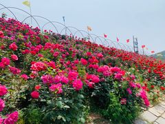 -济南马套将军山