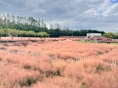 -嘉北郊野公园