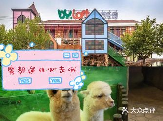 一天玩不完，最强遛娃攻略