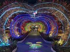 -三亚海昌梦幻海洋不夜城