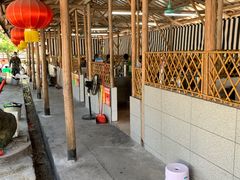 -满記土窑烧鷄波浪山莊