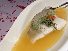 fusion水煮鱼-梧桐北京烤鸭·铜锅涮肉(海岸城店)