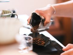 -triple coffee叁杯咖啡