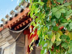 -藏红花·西班牙餐厅(北京五道营店)