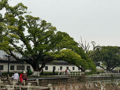 -江心屿景区