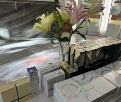 -雅曼妮spa美容养生