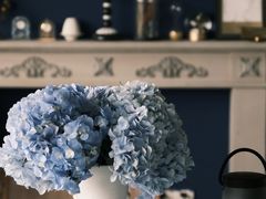 -圣·阿列克谢耶夫教堂