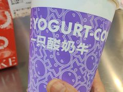 -一只酸奶牛(海珠美食街店)