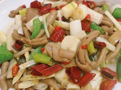 -老字号怡玺·藿香雅鱼(20年雅安店)