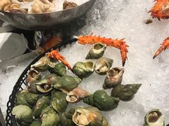 -安蒂娅·海鲜自助餐厅(安蒂娅美兰酒店)