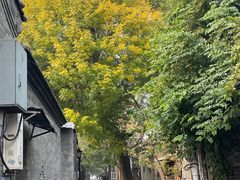 -北京国子监胡同
