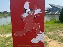 -盐城丹顶鹤湿地生态旅游区