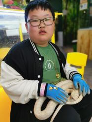 -神奇动物撸宠馆·羊驼·小浣熊·异宠(豫园店)