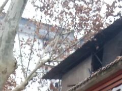门面-袁大头包子(光华路店)