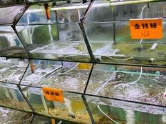 -海之鲜大排档(东山海鲜金銮湾店)