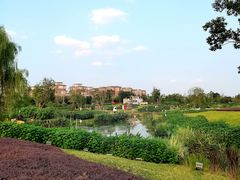 -天府芙蓉园