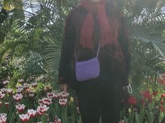 -石家庄市植物园