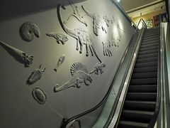 -甘肃地质博物馆