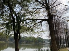 -东莞植物园