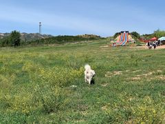 -乌素图国家森林公园