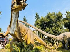 -自贡恐龙博物馆