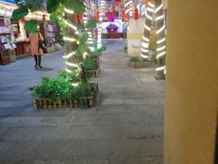 -鹅城