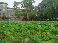 -四川大学(望江校区)