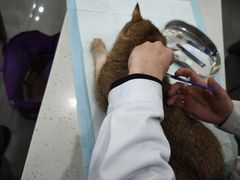 -贝利宠物医院·骨科·眼科·肿瘤转诊中心(南坪诊疗中心)