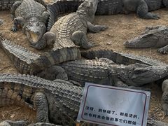 -南宁市动物园