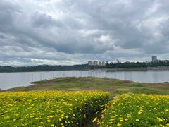 -安宁市宁湖森林公园