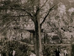 -无锡惠山寺