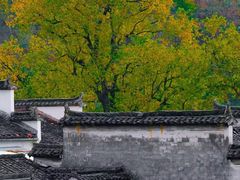 -塔川景区
