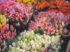 -循礼门鲜花花市(武汉循礼门店)