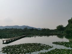 -长兴太湖图影湿地文化园