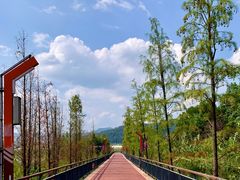-青山湖景区