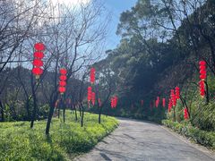 -广州市帽峰山景区