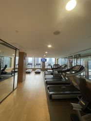 -巍阁高端月子会所