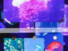 -南昌海洋公园
