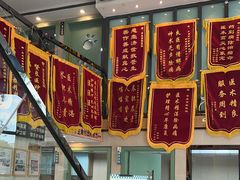 -半岛宠物医院24小时·内窥镜·牙科·碎石中心(府城大道店)