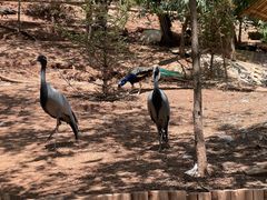 -青藏高原野生动物园