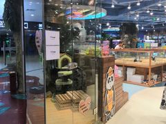 -龟与熊猫宠物公园(南坪店)
