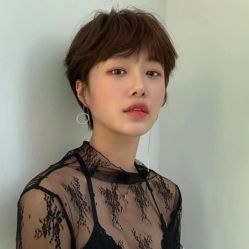 -爱维丽