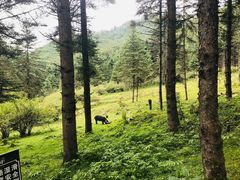 -硗碛藏寨·神木垒景区