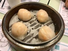 晶莹鲜虾饺-点点心点心专门店(旺角店)