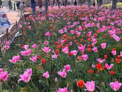 -白塘生态植物园