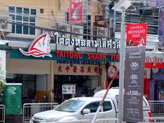 -大中鱼翅 Taitong Shark Fin