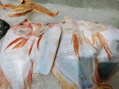 -蓝珊甄选海鲜自助·火锅大排档(近阿那亚店)