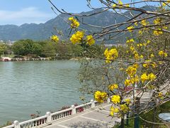-光明港公园
