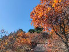 -北京西山国家森林公园